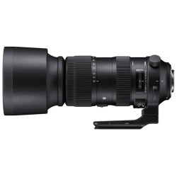 Sigma 60-600mm Sports para Canon f4.5-6.3 DG OS HSM