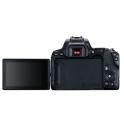 Canon EOS 250D Negra + EF-S 18-55 mm DC + SD 16 Gb+ Funda SB130 - Vista trasera (pantalla)