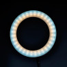 Dorr Ringlight Led SLR-16 Bicolor - Anillo de luz Led Selfi
