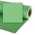 Fondo Papel Colorama Summer Green 2,72x11m |CR-27059| rollo