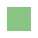 Fondo Papel Colorama Summer Green 2,72x11m |CR-27059| muestra