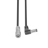 Smallrig DC5525 para Smallrig EB2504 - Cable de alimentación para placa adaptadora NP-F