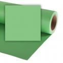 Colorama Summer Green 59 mini - Fondo papel de 1,35X11m - Cr-135059