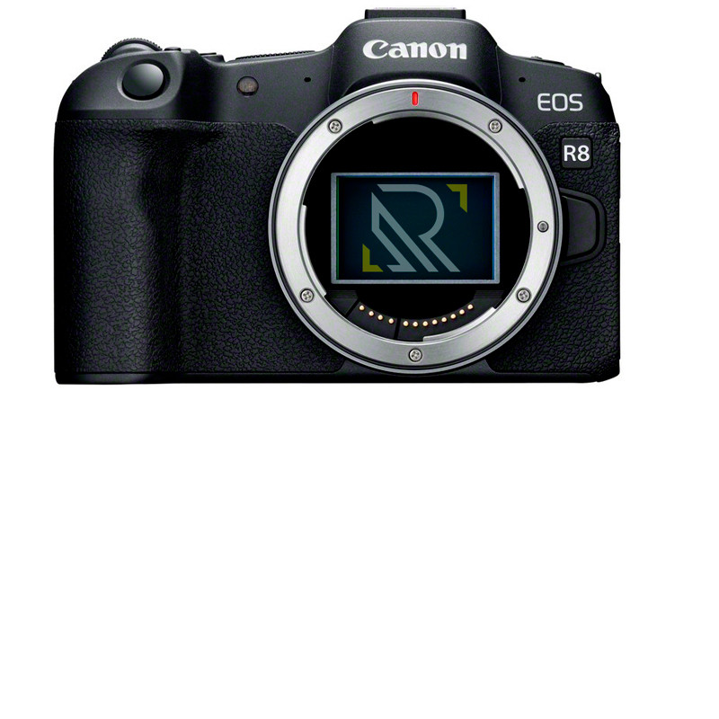 Canon EOS R8 Cuerpo