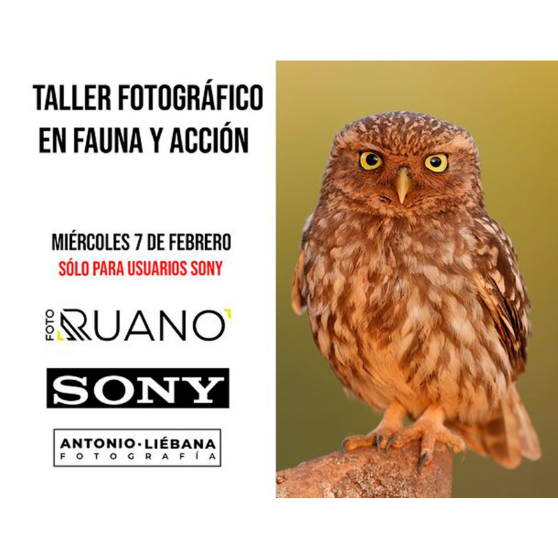 Entrada taller de fotografía de fauna con Antonio Liébana