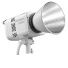 Godox Litemons LE300BI White