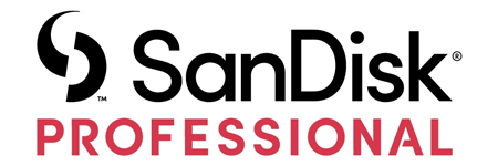SANDISK PROFESSIONAL G-DRIVE SSD 4TB